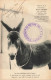 ANIMAUX & FAUNE - Âne - Le Plus Intelligent De La Ferme - Carte Postale Ancienne - Esel