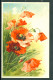 20639 - Catharina Klein (1861-1929) - Fleurs  - Coquelicot Dans Un Champ - Meissner & Buch, Série 1241 Von Blume Zu Blu - Klein, Catharina