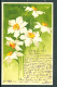 20649 - Catharina Klein (1861-1929) - Fleurs -  Narcisses - Meissner & Buch, Série 1202 Jm Frühlingskleid - Klein, Catharina