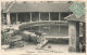 FRANCE - Tonnerre - Source Et Lavoir De La Fosse Dionne - Carte Postale Ancienne - Tonnerre