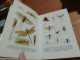 142 //  LES INSECTES 102 PAGES - Sciences