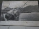 Hongkong Typhoon 1906 Lot 2 Cpa Destroyer Damaged - China (Hong Kong)