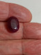 Rubis 7,40 Ct 13,86 X 10,22x 4,64 Mm - Ruby