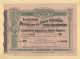 Loterie Association De La Presse Parisienne - 1905/1906 - Lottery Tickets