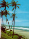 BATHSHEBA COAST ST-JOSEPH   ( ANTILLES )    WEST INDIES - Barbados