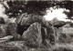 BELGIQUE - Durbuy - Barvaux - Les Environs - Le Dolmen De Wéris - Carte Postale - Durbuy