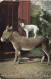ANIMAUX - Un Chien Sur Le Dos D'un âne - Colorisé - Carte Postale Ancienne - Hunde