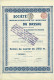 - Titre De 1904 - Société Métallurgique Et Minière Du Nassau - à Elisenhütte-Nassau - - Industrie