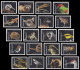 USA 2023 Endangered Species, Reptile,Snake,Fish,Parrot,Frog,Rat,Rabbit,Bird,Panther,Wolf,Quail,20v Imperf MNH RARE - Unused Stamps