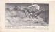 35115# SUR LES TRACES MARCO POLO MER CHINE PUBLICITE PLASMARINE PHNOM PENH CAMBODGE 1953 BIARRITZ PYRENEES ATLANTIQUES - Cambodge