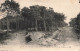 FRANCE - Cayeux - Brighton Français - La Forêt De Sapins - LL - Carte Postale Ancienne - Cayeux Sur Mer