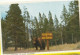 Delcampe - Souvenir Folder Of Yellowstone National Park, Wyoming - Yellowstone