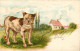 * T4 Dog, Litho (b) - Zonder Classificatie