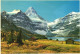 MOUNT ASSINIBOINE, CANADIAN ROCKIES, MOUNTAIN, ARCHITECTURE, HORSE, CANADA - Other & Unclassified