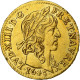 France, Louis XIII, 1/2 Louis D'or, 1643, Paris, Or, SUP, Gadoury:57 - 1610-1643 Luigi XIII Il Giusto