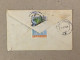 Flowers Fleurs Blumen Romania RPR Stationery Stamp On Liliput Cover Iasi - Lettres & Documents