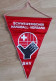 Vintage Captain Pennant SWITZERLAND Handball Federation  Size 27x35cm - Balonmano