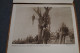 Congo Belge,1918,ancien Carnet Pour Le Courrier,22 Pages,nombreuses Photos D'époque,23 Cm./15 Cm. - Documents Historiques