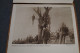 Congo Belge,1918,ancien Carnet Pour Le Courrier,22 Pages,nombreuses Photos D'époque,23 Cm./15 Cm. - Historical Documents