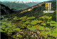 47338 - Oberösterreich - Bad Goisern , Ewige Wand , Blick Zum Höllengebirge , Panorama - Nicht Gelaufen  - Bad Goisern