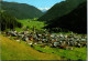 47279 - Tirol - Nauders , Am Reschenpass Mit Blick Auf Ortler - Gelaufen 1982 - Nauders