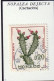 MONACO - Cactus - Y&T N° 541, 541A - 1960 - Oblitérés - Usados