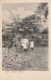 AK Fiji - Fijians And Papaw Trees - 1907  (66447) - Fiji