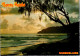 10-12-2023 (1 W 46) Australia - QLD -  Noosa Heads (posted 1982 Arboriginal Art Stamp) - Sunshine Coast