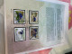 Taiwan Stamp 2008 Blue Magpie Fold Card - Lettres & Documents