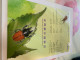 Taiwan Stamp 2008 Insects Fold Card - Cartas & Documentos