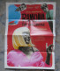 Affiche Du Film  RAMONA FAIT SON CINEMA Un Film D' Andrea Bagney - Synopsis Et Interview  Au Recto - Format Déplié 40/50 - Affiches & Posters