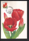 BUZIN / CARTE MAX / COB 3047 / TULIPE ROUGE 'DARWIN' - 1991-2000