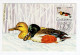 1989. YUGOSLAVIA,BELGRADE,FDC,MC,MAXIMUM CARD,PROTECTED SPECIES,DUCK,BIRDS - Maximum Cards