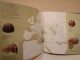 Delcampe - El Lugar Del Hombre En La Evolución. Akal. Natural History Museum. 1994. 102 Páginas. - Craft, Manual Arts
