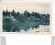 Carte De LISLE SUR TARN  Jardins Suspendus Sur La Rive Droite ( Recto Verso ) - Lisle Sur Tarn