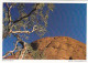 AK 185964 AUSTRALIA - Mount Olga - Uluru & The Olgas