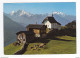 Valais Bettmeralp 1938m Fletschhorn 3996m En 1987 Beau Troupeau De Vaches VOIR TIMBRE - Bettmeralp