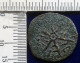 Sicilia - Messina -  ½ Follaro - Ruggero II Re Di Sicilia (1105-1154) - Sizilien