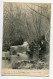 61 PUTANGES Pecheurs à La Ligne Cascade Sous Bois Foret Environs No 1 Lizot Edit Cliché Lecluse 1917   D19 2019  - Putanges