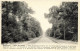 BELGIQUE - Tournai - Bonsecours - Vue Sur  La Route De Condé - Carte Postale Ancienne - Tournai