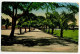 Philippines 1913 Postcard Manila - Malecon Drive; 2c. Jose Rizal Stamp - Philippines