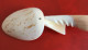 Tonga Handmade Decorative Seashells Conchs Shells Tablespoon Souvenir, From Tonga - Löffel