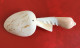 Delcampe - Tonga Handmade Decorative Seashells Conchs Shells Tablespoon Souvenir, From Tonga - Lepels