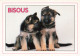 ANIMAUX ET FAUNE - Deux Petits Chiots - Bisous - Colorisé - Carte Postale - Dogs