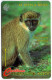 St. Kitts & Nevis - The Vervet Monkey - 176CSKA - St. Kitts & Nevis