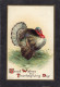 Ellen Clapsaddle(uns) - Thanksgiving, Turkey 1908 - Antique Postcard - Clapsaddle