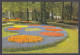 125227/ LISSE, Keukenhof - Lisse