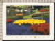 109281GF/ LISSE, Keukenhof  - Lisse