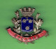 INSIGNE EMAIL GRAND FEU VILLE D EPERNAY FIN XIX° BLASON ECUSSON - Obj. 'Herinnering Van'