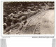 Carte De Pontaillac La Plage Vue Aérienne N°1339 - Pont-l'Abbé-d'Arnoult